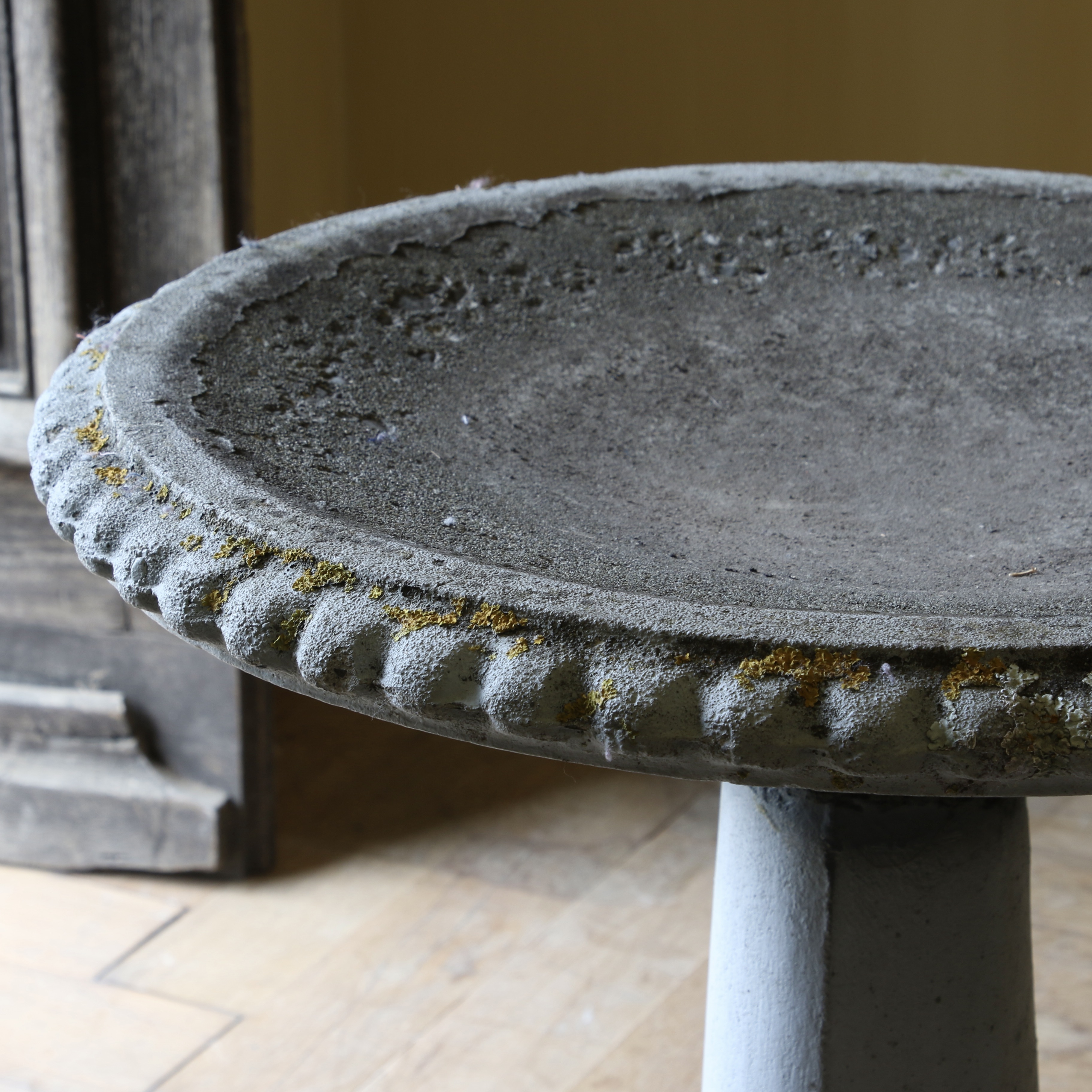 Bird Bath
